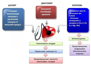 морковка