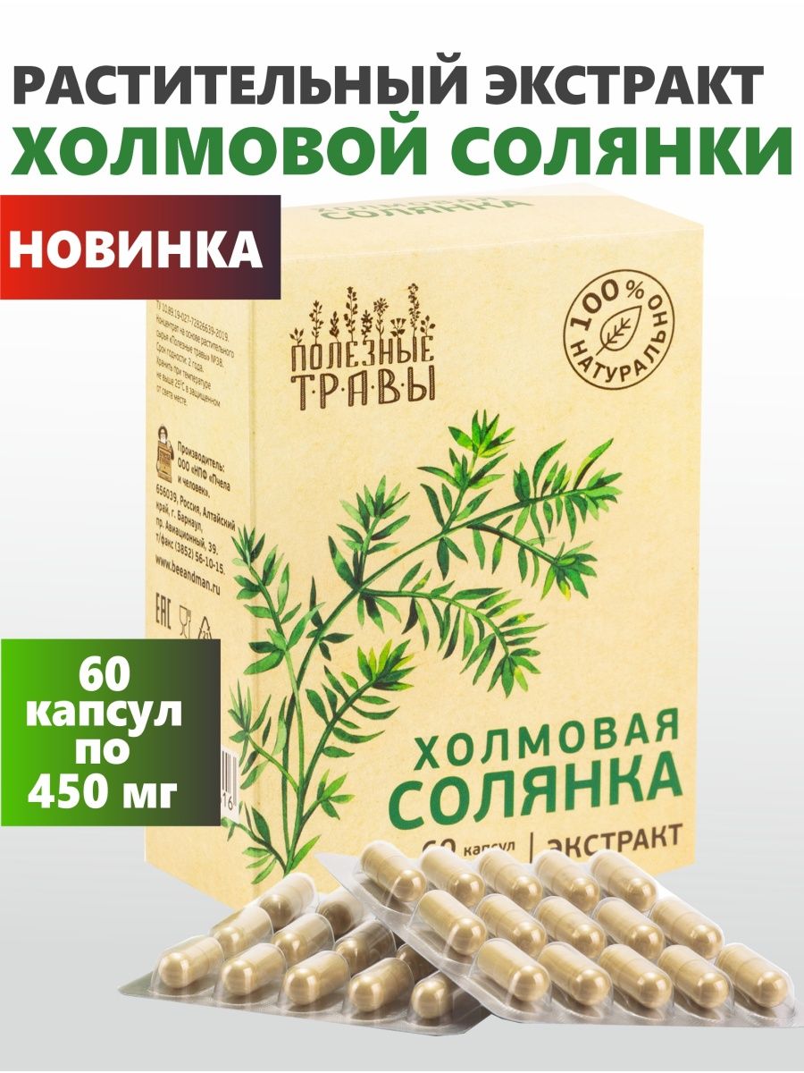 Солянка холмовая для печени - Полезные травы