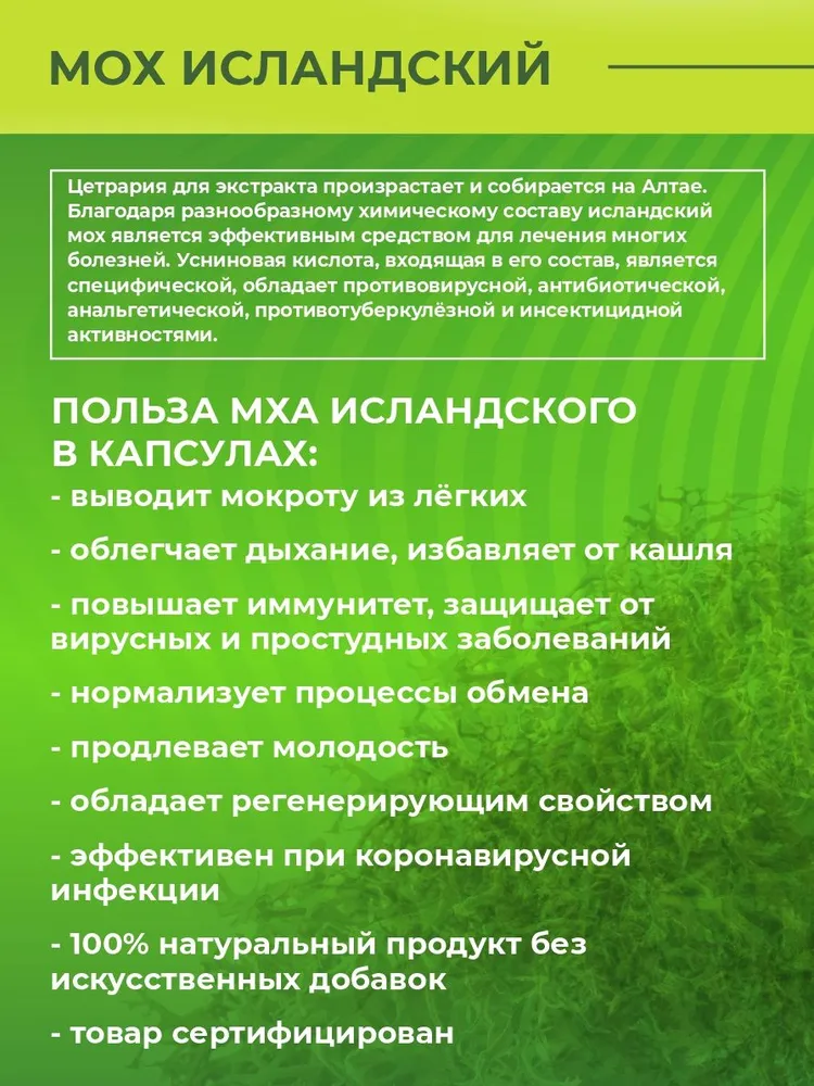 Исландский мох Altay Energy