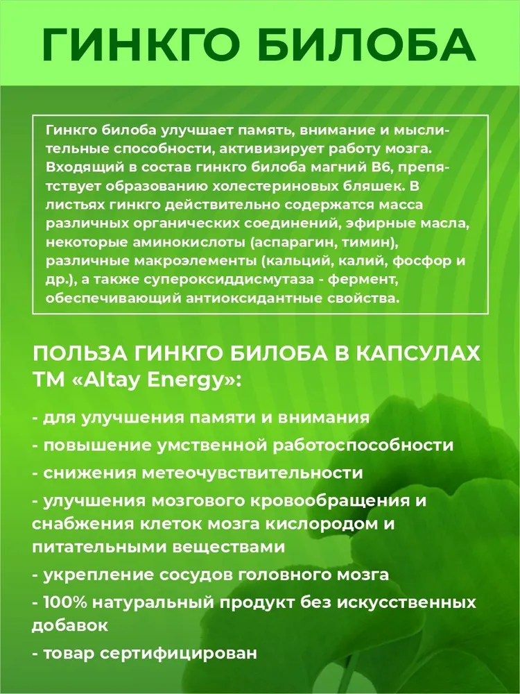 Гинкго билоба улучшает память, внимание и мыслительные способности, активизирует работу мозга.