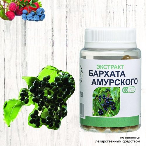 Экстракт бархата амурского в капсулах