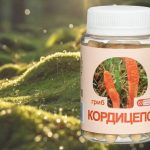 Концентрат Кордицепса (гриб) в капсулах