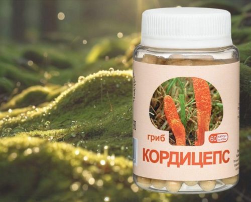 Концентрат Кордицепса (гриб) в капсулах