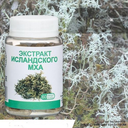 Экстракт исландского мха в капсулах
