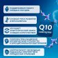 Q10 помогает снизить уровень жидкости в сосудах и уменьшить окислительный стресс.