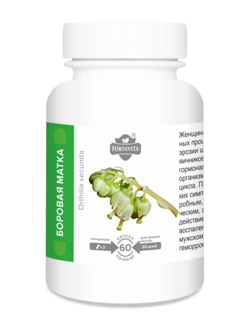 Боровая матка в капсулах с Алтая от марки ФортеВита