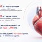 Поддержка сердца и сосудов